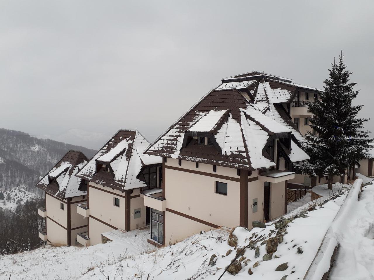 Apartman Andjela Kopaonik Exterior photo